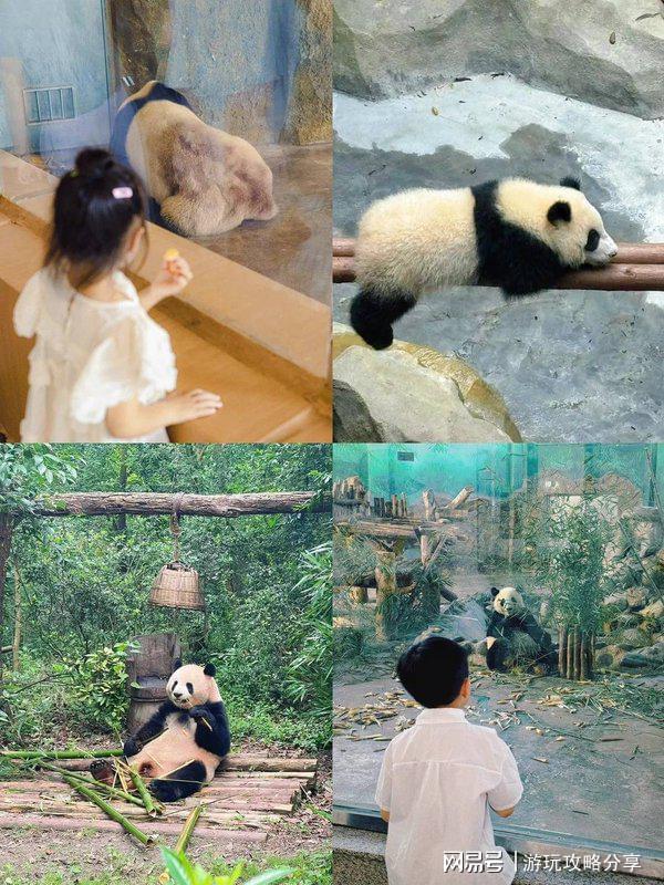 成都景点地图 什么时候去四川玩最好麻将胡了试玩省钱篇_看完少走弯路！(图3)